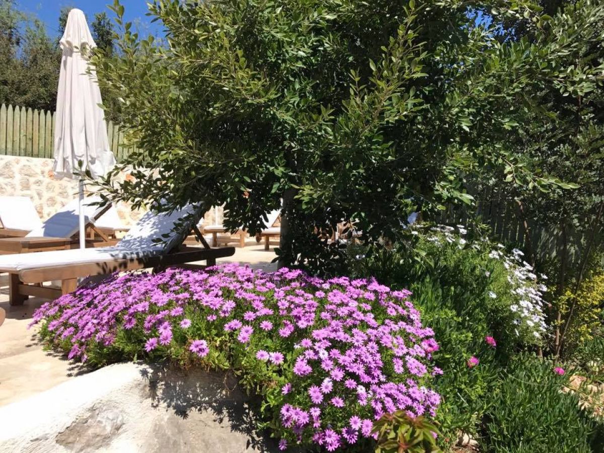 imagini hotel DARDANOS PATARA